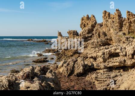 Felsen bei PT Roadknight, Anglesea, Victoria, Australien Stockfoto