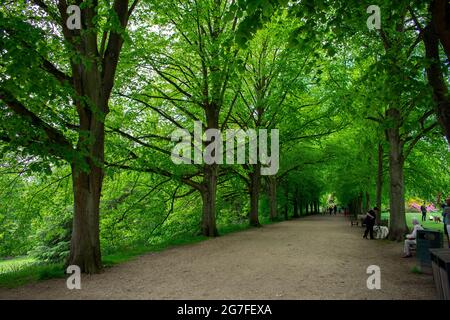 Ein von Bäumen gesäumter Pfad auf dem Anwesen des Kenwood House in Hampstead Heath, Nord-London-England. Ein Besucher ruht auf einer Bank und ein Rüde läuft mit einem Hund. Stockfoto