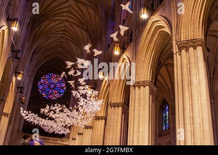 Michael Pendrys Kunstinstallation „Les Colombes“ (die Tauben) von 2,000 Origami-Tauben in der Washington National Cathedral in Washington, DC - Juli 2021 Stockfoto