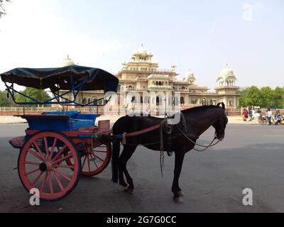 Albert Hall Museum befindet sich in Jaipur, Rajasthan, Indien Stockfoto
