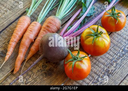 Karotten, Rote Beete und Tomaten wurden gerade im gard gepflückt. Stockfoto