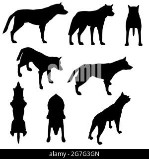 Set mit Silhouetten eines Hundes in verschiedenen Positionen isoliert auf weißem Hintergrund. Vektorgrafik. Stock Vektor