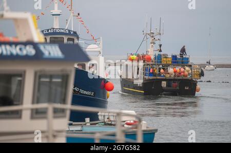 Seahouses Harbour, Seahouses Northumberland, Großbritannien. Juli 2021. Großbritannien, Großbritannien. Großbritannien England Geschäftswetterfischerei ein frühmorgendlicher Start für Seefischer, die vom Hafen von Seahouses in Northumberland, England, zur Nordsee fahren. Quelle: phil wilkinson/Alamy Live News Stockfoto