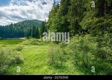 Landschaft mit See von Synevyr Nationalpark. Schöne Sommerlandschaft der karpaten. Beliebte Reiseziele der ukraine. Atemberaubende envir Stockfoto