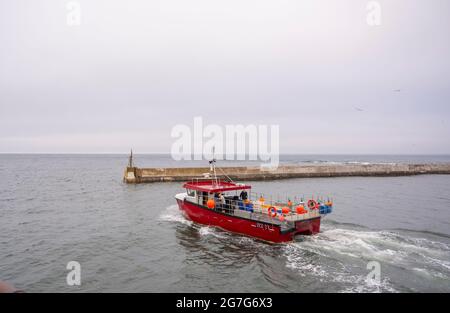 Seahouses Harbour, Seahouses Northumberland, Großbritannien. Juli 2021. Großbritannien, Großbritannien. Großbritannien England Geschäftswetterfischerei ein frühmorgendlicher Start für Seefischer, die vom Hafen von Seahouses in Northumberland, England, zur Nordsee fahren. Quelle: phil wilkinson/Alamy Live News Stockfoto