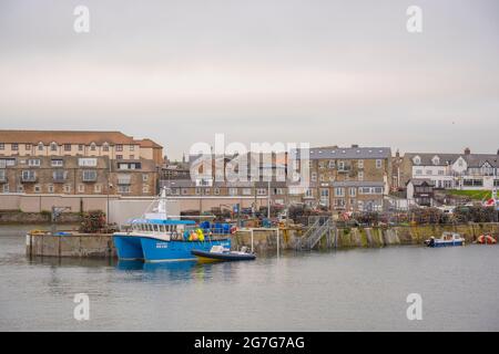 Seahouses Harbour, Seahouses Northumberland, Großbritannien. Juli 2021. Großbritannien, Großbritannien. Großbritannien England Geschäftswetterfischerei ein frühmorgendlicher Start für Seefischer, die vom Hafen von Seahouses in Northumberland, England, zur Nordsee fahren. Allgemeine Sicht auf den Hafen, einschließlich Boote, Möwen, und die Hafenmauer und Gebäude und Schilder. Quelle: phil wilkinson/Alamy Live News Stockfoto