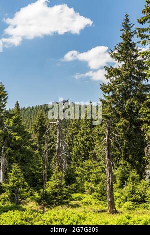 Vozka Berg wirth Felsformation vom Bergpass trennt Spaleny vrch und Vozka Hügel in Jeseniky Berge in der Tschechischen republik Stockfoto