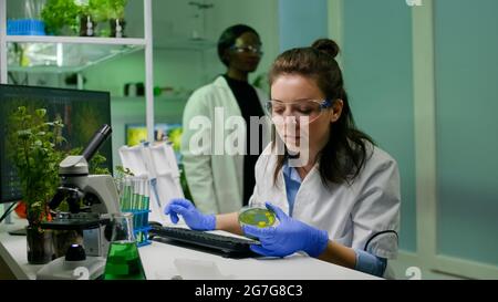 Chemiker, der DNA-Lösung aus dem Reagenzglas mit Mikropipette in Petrischale einbringt und biologische Expertise prüft. Biologe Fachforscher arbeitet im Biotechnologielabor Stockfoto