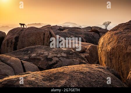 Sonnenuntergang Ansicht von Kishkinda, Anjanadri Hügel, (Monkey Temple) Anjaneya Parvat, der Geburtsort von Hanuman Gott, Hampi, Karnataka, Indien. Stockfoto