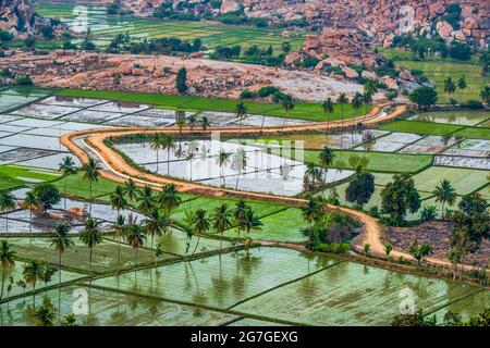 Rocky Mountain mit Reisfeld Aufnahme ist auf Anjeyanadri Hill hampi karnataka india. Der Blick von hier ist ruhig und atemberaubend. Stockfoto