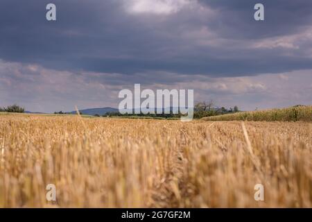 Sturm über einem Stoppelfeld Stockfoto