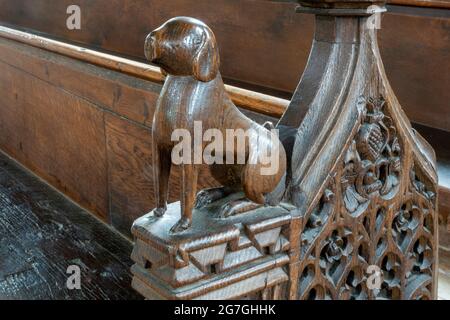 Geschnitzte Sitzbank Detail als sitzender Hund, St Mary's Church, Dennington, Suffolk, Großbritannien Stockfoto