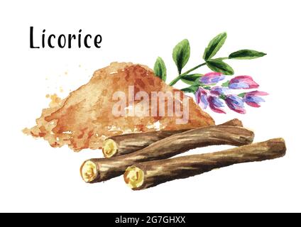 Stapel von gemahlenem Lakritz mit Lakritzwurzel, Blume und Blatt. Aquarell handgezeichnete Illustration isoliert auf weißem Hintergrund Stockfoto