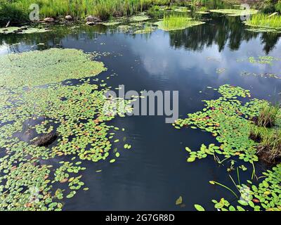 Sault Ste Marie Canal National Historic Site/Ontario/Kanada Stockfoto