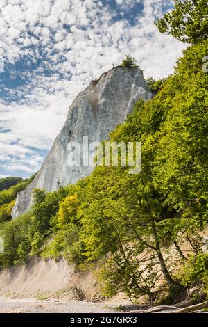 Königsstuhl an der Kreideküste von Rügen, Mecklenburg-Vorpommern, Rügen, Nationalpark Jasmund Stockfoto