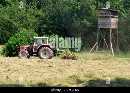 Traktor mit Heutedder, Österreich Stockfoto
