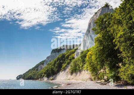 Königsstuhl an der Kreideküste von Rügen, Mecklenburg-Vorpommern, Rügen, Nationalpark Jasmund Stockfoto