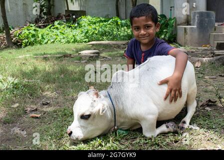 Dhaka, Bangladesch. Juli 2021. Eine weiße Zwergkuh namens Rani wird als die kleinste Kuh der Welt gefeiert und wird in Nabinagar, vor dem Rand von Dhaka, Bangladesch, gefunden. Sie ist 57 Pfund, 27 Zoll breit und 20 Zoll groß. Der Besitzer hat sich beim Guinness-Buch der Rekorde beworben und hofft, dass Rani den Rekord für die kleinste Kuh der Welt brechen wird. (Foto von Fatima-Tuj-Johora/Sipa USA) Quelle: SIPA USA/Alamy Live News Stockfoto