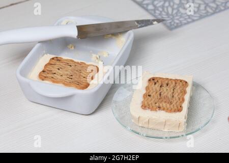 Hausgemachtes Eis. Kekse und Creme. Liegt in einem Behälter und auf einer Untertasse. Nahaufnahme. Stockfoto