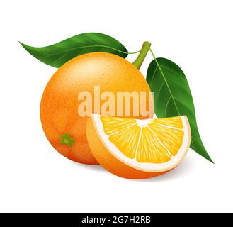 Realistische Orangen mit grünem Blatt ganz und in Scheiben geschnitten, sauer frisches Obst, hellgelbe Schale, orange Vektor-Illustration isoliert auf weiß Stock Vektor