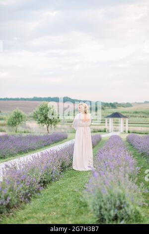 Schöne Mitte Alter wunderschöne blonde Dame in elegantem Kleid zu Fuß in das Feld der Lavendel. Rückenansicht in voller Länge. Stockfoto