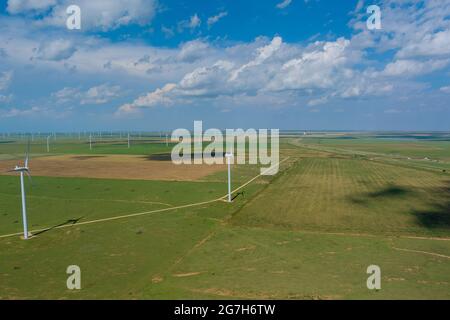 Windturbinenkraftwerk in Texas, USA, mit Reihen von vielen erneuerbaren Windmühlen Stockfoto