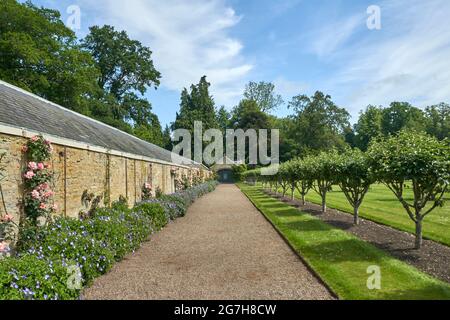 Der Mellenium Garden in Floors Castle mit französischem Parterre mit traditionellen Apfel- und Birnenbäumen. Stockfoto