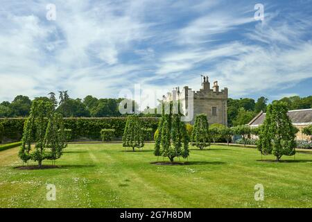 Der Mellenium Garden in Floors Castle mit französischem Parterre mit traditionellen Apfel- und Birnenbäumen. Stockfoto