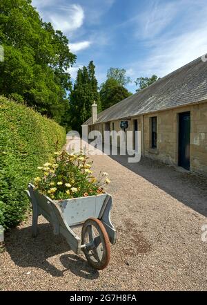 Schubkarre mit farbenfroher Blumendarstellung im Floors Castle bei Kelso in den Scottish Borders Stockfoto