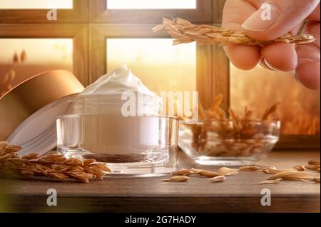 Natürliche feuchtigkeitsspendende Creme mit Haferextrakt im Glas auf Holztisch und Hand mit Spike mit Fenster im Hintergrund und Haferfeld draußen Stockfoto