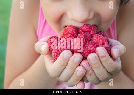 Littel Baby isst Himbeeren .selektiver Fokus.Lebensmittel.Cild Stockfoto