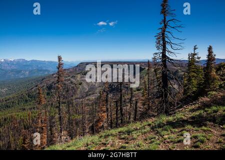 Die Verzauberungen von der flachen Spitze des Tafelbergs aus gesehen, Okanogan-Wenatchee National Forest, Washington State, USA Stockfoto