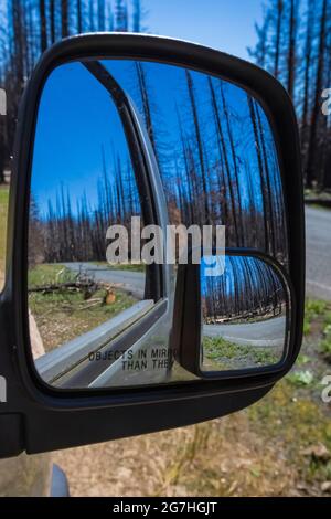 Wald im Jahr 2012 verbrannt Tafelberg Feuer reflektiert im Spiegel eines Fahrzeugs, Tafelberg, Okanogan-Wenatchee National Forest, Washington State, USA Stockfoto