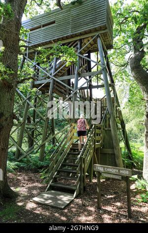 Ein Vogel versteckt sich in der Royal Society for the Protection of Birds oder RSPB Reserve in Minsmere, Saxmundham, Suffolk, England, Großbritannien Stockfoto