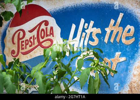 Altes Blechschild „Pepsi-Cola Hits the Spot“ bei Crazy Mule Arts & Antiques in Lula, Georgia. (USA) Stockfoto