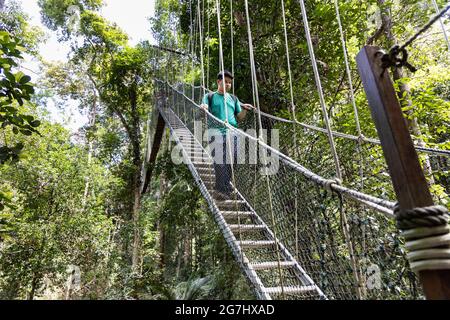 Touristenspaziergängen im Taman Negara National Park Regenwald Stockfoto