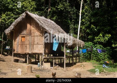 Traditionelles Haus der Batek-Ureinwohner. Batek sind die Ureinwohner im Taman Negara National Park. Stockfoto