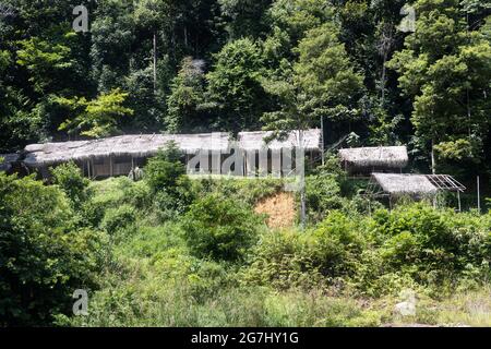 Traditionelles Haus der Batek-Ureinwohner. Batek sind die Ureinwohner im Taman Negara National Park. Stockfoto