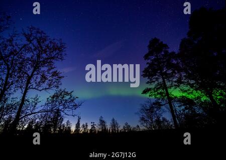 Nordlichter im september über dem Muddus-Nationalpark in Schweden Stockfoto