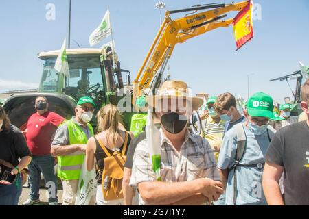 Der Fleck hat die Karawane „für eine Zukunft: Der Tod hat einen Preis“ veranlasst, die zum Landwirtschaftsministerium kommt, um Maßnahmen zu fordern, um die Schäden an den Kulturen zu lindern, die sowohl durch den Schneesturm Filomena als auch durch Wildtiere verursacht wurden. Union of Unions of Castilla la Mancha hat seit Sonseca eine Karawane geführt und ist schließlich vor den Toren des Landwirtschaftsministeriums angekommen. Die Agrarorganisation hat in den letzten Wochen bereits Proteste in Toledo veranstaltet und macht damit einen Schritt nach vorn, da die Regierungen keine Reaktion darauf erhalten haben, dass die Bauern eine hundertjährige tote Olive hinterlassen haben Stockfoto