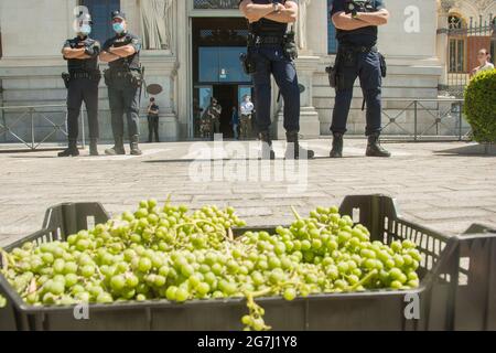 Der Fleck hat die Karawane „für eine Zukunft: Der Tod hat einen Preis“ veranlasst, die zum Landwirtschaftsministerium kommt, um Maßnahmen zu fordern, um die Schäden an den Kulturen zu lindern, die sowohl durch den Schneesturm Filomena als auch durch Wildtiere verursacht wurden. Union of Unions of Castilla la Mancha hat seit Sonseca eine Karawane geführt und ist schließlich vor den Toren des Landwirtschaftsministeriums angekommen. Die Agrarorganisation hat in den letzten Wochen bereits Proteste in Toledo veranstaltet und macht damit einen Schritt nach vorn, da die Regierungen keine Reaktion darauf erhalten haben, dass die Bauern eine hundertjährige tote Olive hinterlassen haben Stockfoto