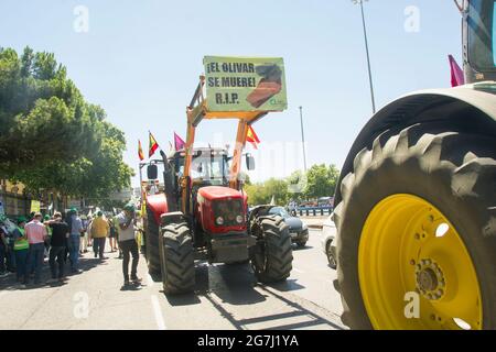 Der Fleck hat die Karawane „für eine Zukunft: Der Tod hat einen Preis“ veranlasst, die zum Landwirtschaftsministerium kommt, um Maßnahmen zu fordern, um die Schäden an den Kulturen zu lindern, die sowohl durch den Schneesturm Filomena als auch durch Wildtiere verursacht wurden. Union of Unions of Castilla la Mancha hat seit Sonseca eine Karawane geführt und ist schließlich vor den Toren des Landwirtschaftsministeriums angekommen. Die Agrarorganisation hat in den letzten Wochen bereits Proteste in Toledo veranstaltet und macht damit einen Schritt nach vorn, da die Regierungen keine Reaktion darauf erhalten haben, dass die Bauern eine hundertjährige tote Olive hinterlassen haben Stockfoto