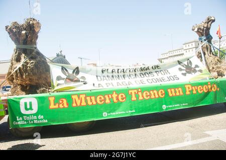 Der Fleck hat die Karawane „für eine Zukunft: Der Tod hat einen Preis“ veranlasst, die zum Landwirtschaftsministerium kommt, um Maßnahmen zu fordern, um die Schäden an den Kulturen zu lindern, die sowohl durch den Schneesturm Filomena als auch durch Wildtiere verursacht wurden. Union of Unions of Castilla la Mancha hat seit Sonseca eine Karawane geführt und ist schließlich vor den Toren des Landwirtschaftsministeriums angekommen. Die Agrarorganisation hat in den letzten Wochen bereits Proteste in Toledo veranstaltet und macht damit einen Schritt nach vorn, da die Regierungen keine Reaktion darauf erhalten haben, dass die Bauern eine hundertjährige tote Olive hinterlassen haben Stockfoto