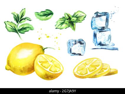 Eiswürfel, Zitronen- und Minzblätter isoliert auf weißem Hintergrund gesetzt. Aquarell handgezeichnete Illustration Stockfoto