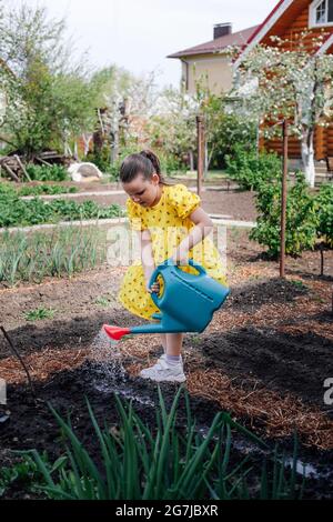 Die kleine Gärtnerin hilft ihren Eltern beim Garten, pflanzt Samen und bewässert die Beete aus einer Gießkannen im Hinterhofgarten Stockfoto