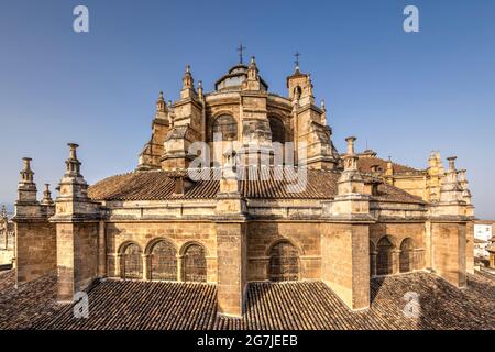 Kathedrale der Menschwerdung, Granada, Andalusien, Spanien Stockfoto