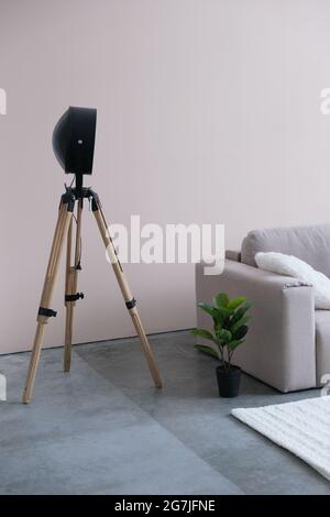 Lampe auf einem Stativ vor dem Hintergrund eines Sofas und eines Topfes mit Ficus Stockfoto