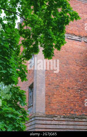 Altes rotes Ziegelgebäude durch grünen Ahorn Stockfoto