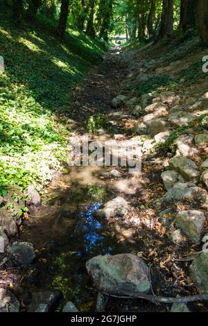 RAK-patak Bach im trockenen Sommer, ausgetrocknetes Flussbett, Sopron, Ungarn Stockfoto