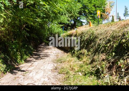 RAK-patak Bach im trockenen Sommer, ausgetrocknetes Flussbett, Sopron, Ungarn Stockfoto